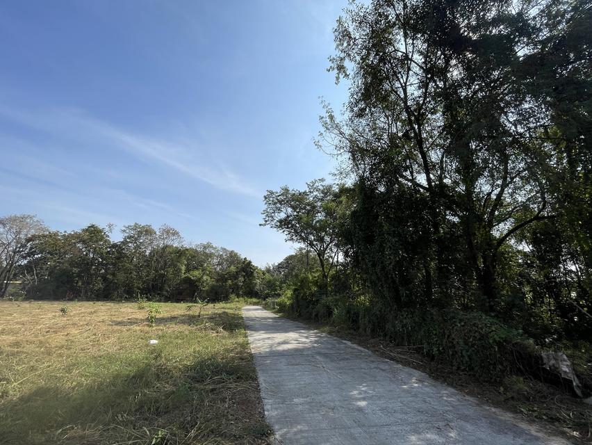 ขายด่วน!! ที่ดินเปล่า ราคาถูก ติดถนนคอนกรีตทั้ง 2 ด้าน จ.อุดรธานี (LSS-671) 4