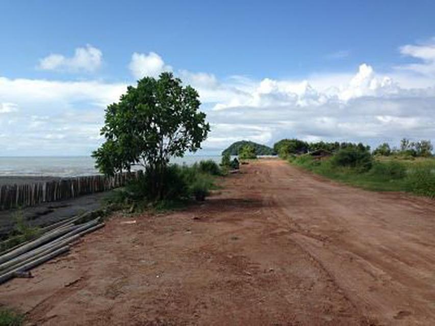 10 Rais land for sale closed sea and Sea View very nice road 5