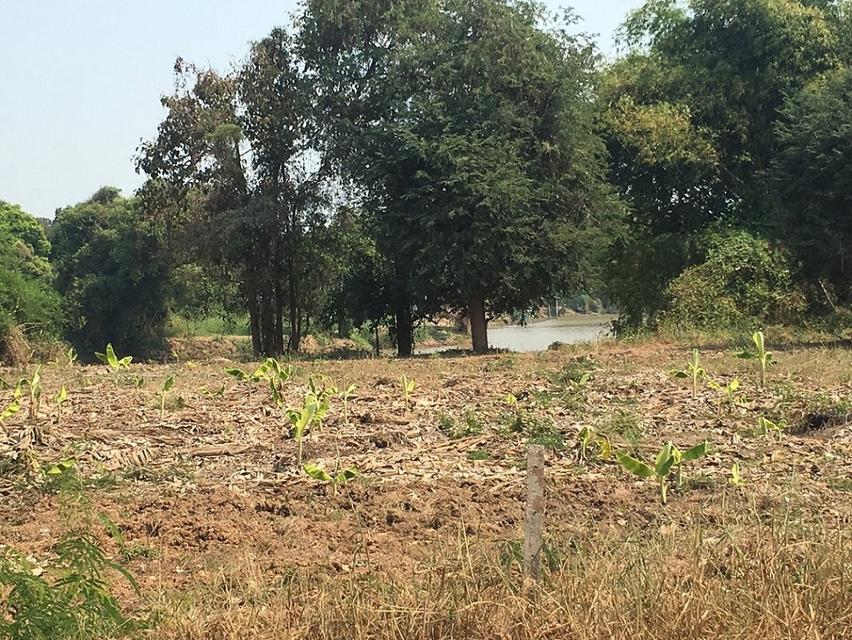 ขายที่ดินติดริมแม่น้ำท่าจีน 742 ตรว. 1