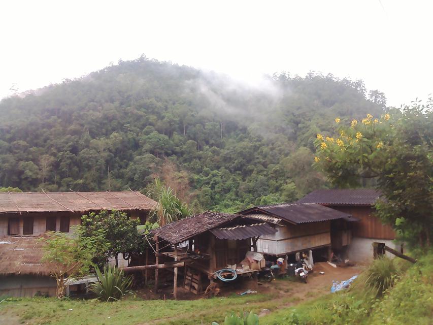 Lease Home Stay on the Hill Top Mountain in long term, small 3
