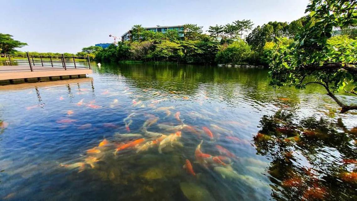 ขายคอนโด Swan Lake Khao Yai (สวอนเลค เขาใหญ่) เขาใหญ่ คอนโดพักตากอากาศ Low Rise บนพื้นที่กว่า 68 ไร่ สนใจติดต่อ 080-9169 5
