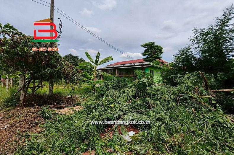 ที่ดินเปล่า ซ.คลองสาม 6/5 เนื้อที่ 60 ตรว. ถนนพหลโยธิน ต.คลองสาม อ.คลองหลวง จ.ปทุมธานี 4