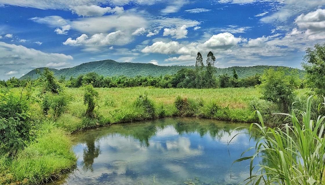 ที่ดินโฉนดวิวเขาสุดสวย 6ไร่ 2งาน 58.3 ตร.ว ไร่ละ400,000 อ.ด่านช้าง สุพรรณฯ มีบ่อน้ำ บ่อบาดาล ไฟผ่าน 080-7866949 อั๋น LINE ID : PHISEK.MA 1
