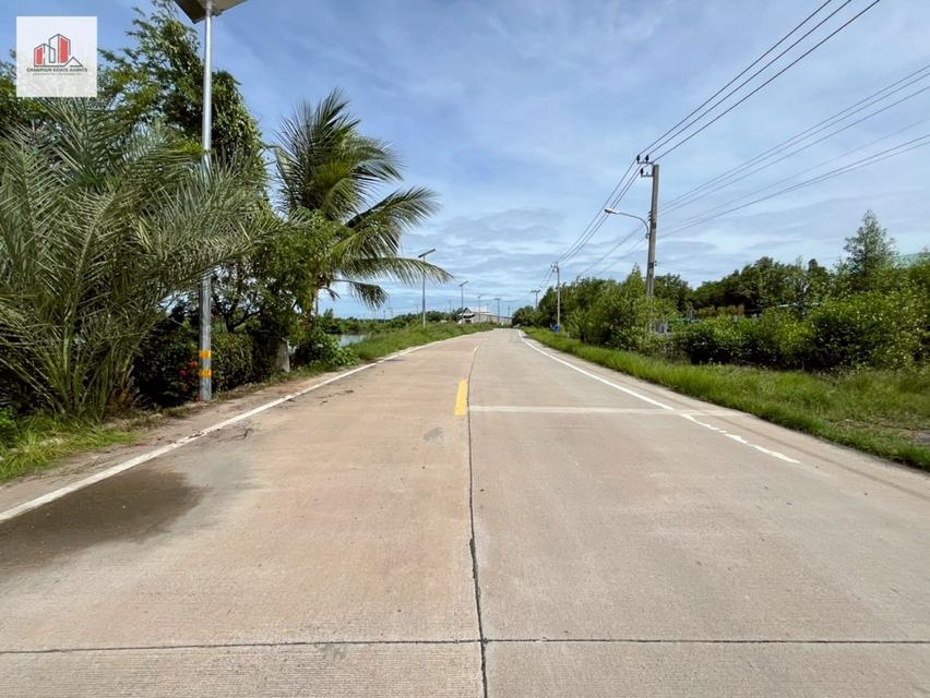  ที่ดินบ่อกุ้ง ประชาอุทิศ 90 สมุทรปราการ  น้ำตื้นดินแน่น ผังสีเหลือง 