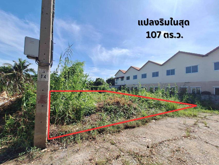 ขาย ที่ดิน บางบัวทอง ซอย วัดลาดปลาดุก 107 ตร.ว. แปลงสวย ริมในสุด
