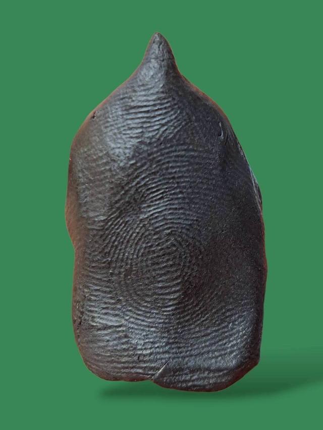 พระรอด เปิดแบ่งปันค่ะ รูปที่ 3