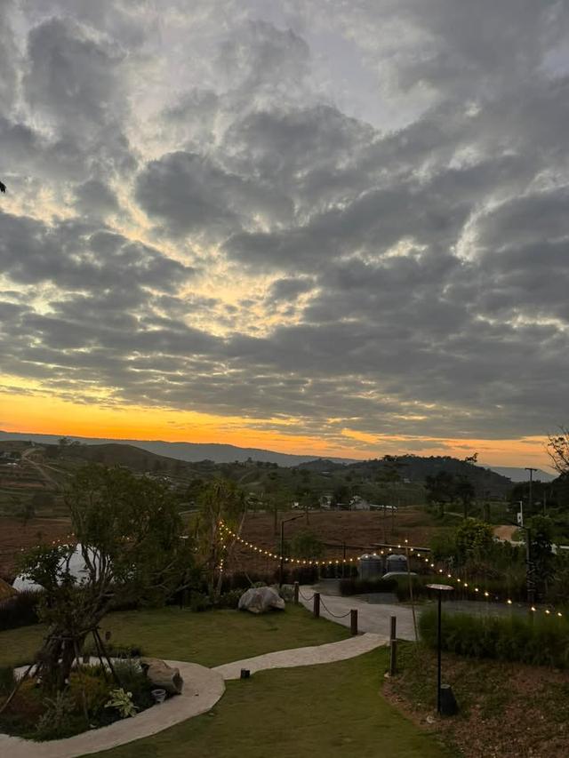 D Kanda Glamping วังน้ำเขียว  5 ไร่ 14 ล้าน 11