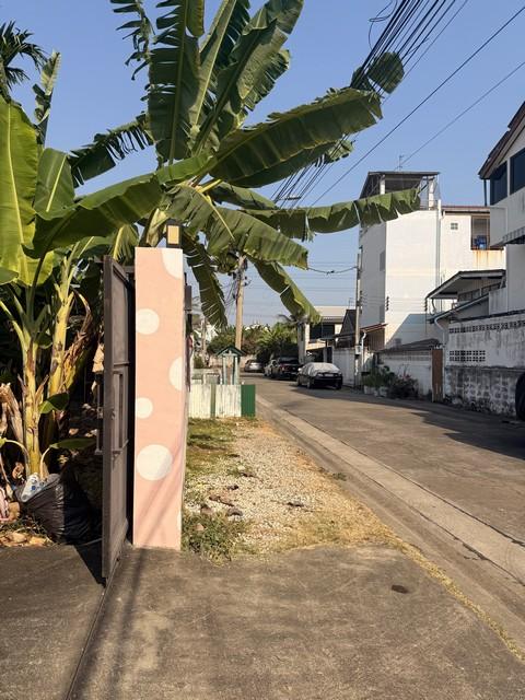 PP467 ขายที่ดินพร้อมสิ่งปลูกสร้าง ที่ดินขนาด 121 ตารางวา พร้อมบ้าน 1 หลัง ประชาชื่นนนทบุรี 4 งามวงศ์วาน ประชาชื่น ใกล้ The Mall งามวงศ์วาน 15