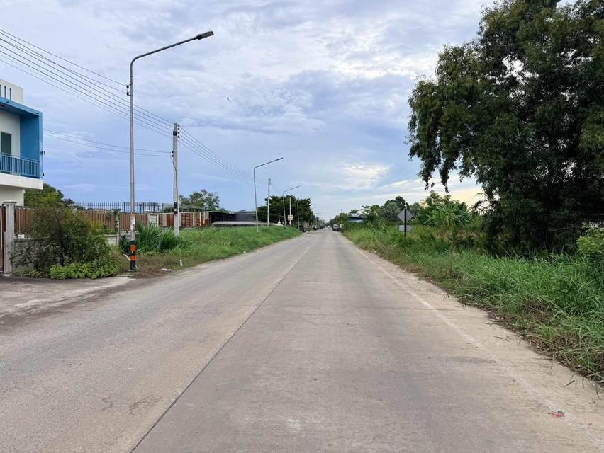ขายด่วนที่ดินคลองสอง 363 ตรว ติดถนนคอนกรีต ซ.บงกช 69 อ.คลองหลวง จ.ปทุมธา 6