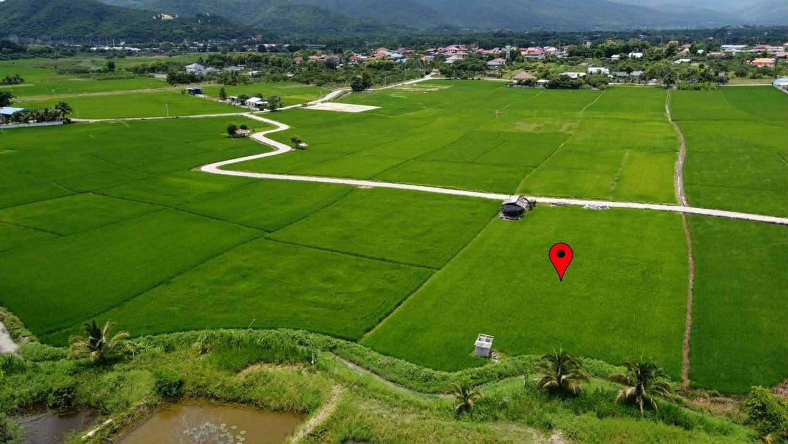 ที่ดินวิวสวย จอมทอง เชียงใหม่ 6