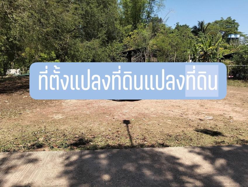 ที่ดิน 1 ไร่ 28 ตร.วบ้านนาสมดีอำเภอเมืองนครพนม 2