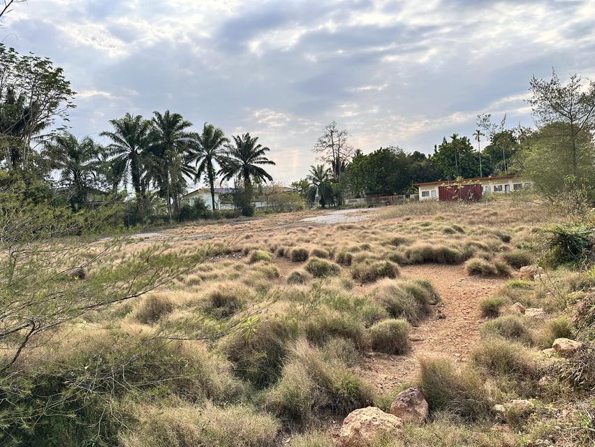 💎โฉนดทองคำ 10 ไร่แห่งความมั่งคั่ง! 💰ไร่ละ 3.9 ล้านบาท ราคานี้กับฮวงจุ้ยเทพๆ (ติดทางหลวงแผ่นดินหมายเลข 4 (เพชรเกษม)  ต.ท่าข้าม อ.ท่าแซะ จ.ชุมพร 5