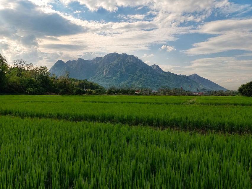 ที่ดินวิวดอยหลวงเชียงดาว 2