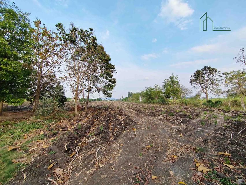 ที่ดิน 18 ไร่ ปากช่อง ห่างจากถนนมิตรภาพ 7.9 กิโลเมตร 8