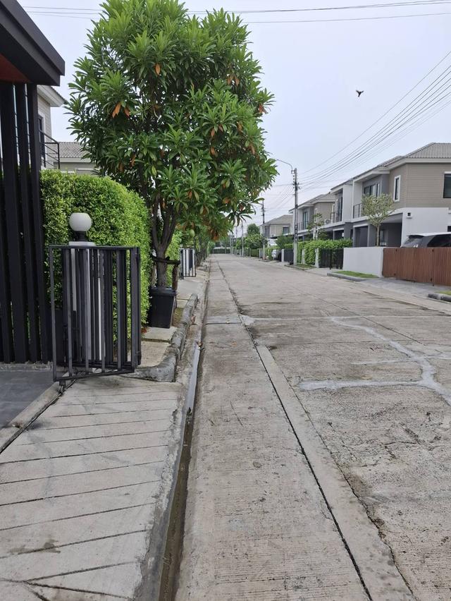 บ้านแฝด35.6 ตรว บางบัวทองเส้น 340 18