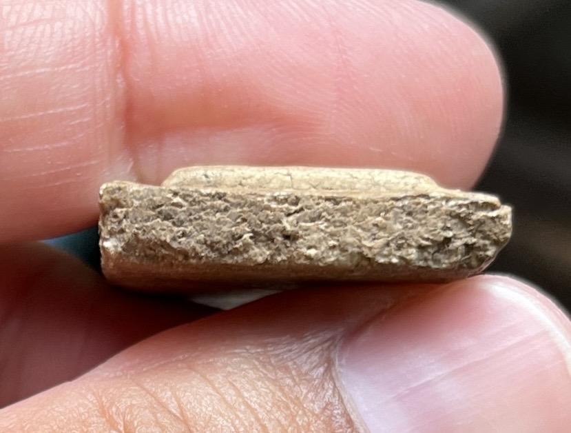 พระสมเด็จอกครุฑ