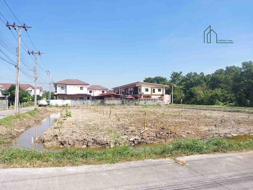 ที่ดิน 1 ไร่ 2 งาน 24 ตารางวา บางกรวย ไทรน้อย 43 ใกล้วัดบางกร่าง 1