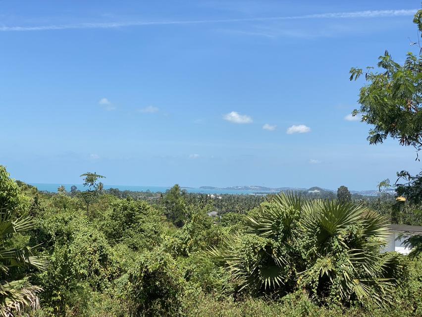 📍Land For Sale in KOH Samui 8