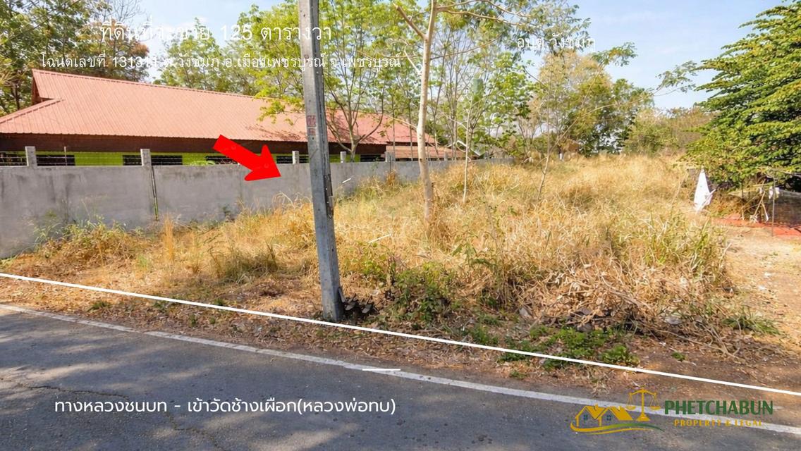 ที่ดินเงิน125 ตารางวา ติด อบต.วังชมภู อ.เมือง จ.เพชรบูรณ์ 2