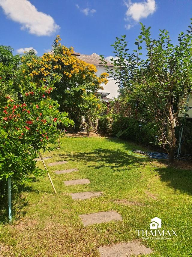 ขายที่ดิน 108 ตรว. พร้อมกิจการเกสต์เฮ้าส์ ใกล้สถานีขนส่งจังหวัดเชียงใหม่ 8