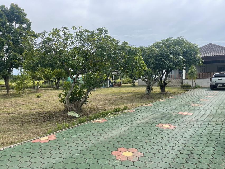 🏡ขายที่ดินพร้อมบ้านสวน พร้อมเข้าอยู่ 👩‍🌾👨‍🌾  📍ตำบล สง่าบ้าน อำเภอดอยสะเก็ด จังหวัดเชียงใหม่ 9