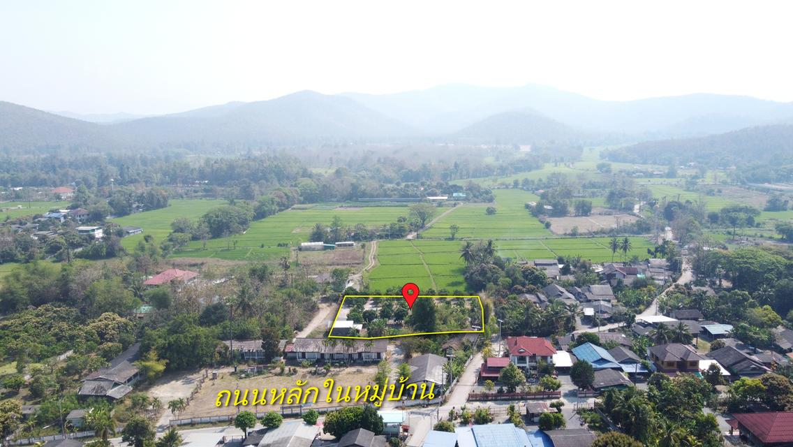  ที่ดินสวนลำไย 1-1-25 ไร่ วิวภูเขา ติดถนนคอนกรีต 2 ด้าน 4