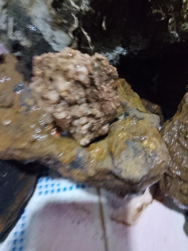 หินแร่ทองคำ อัญมนีต่างๆ รูปที่ 13