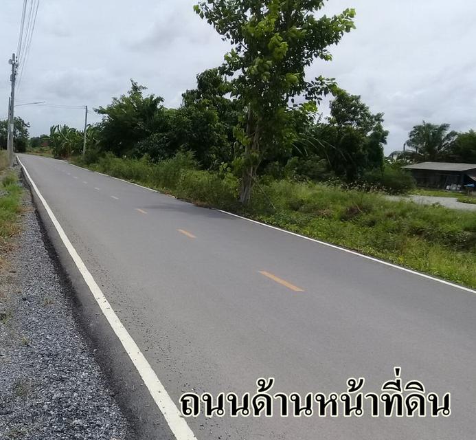  ขายที่ถมแล้วบางส่วน  2 ไร่ ติดถนนสองด้าน  ต.บ้านโพธิ์ อ.บ้านโพธิ์ จ.ฉะเชิงเทรา 2