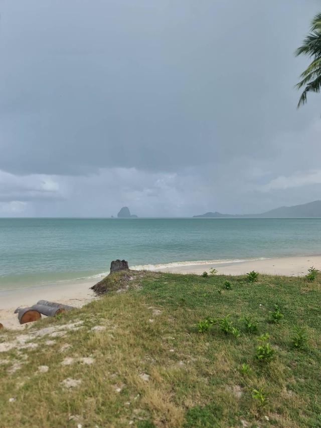 🏝️ ขายที่ดินติดทะเล ทำเลหายาก บนเกาะยาวใหญ่ จ.พังงา 5