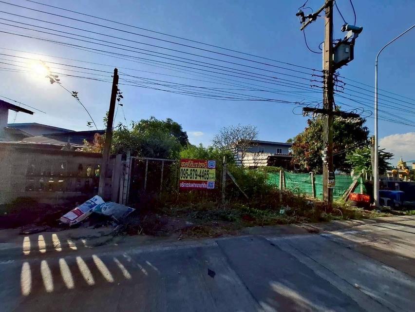Vายด่วนที่ดินคลองแปด 100 ตารางวา ติดถนนคอนกรีตสาธารณะ ถมแล้ว ซอย คุณสัมฤทธิ์ อ.ธัญบุรี จ.ปทุมธานี 8