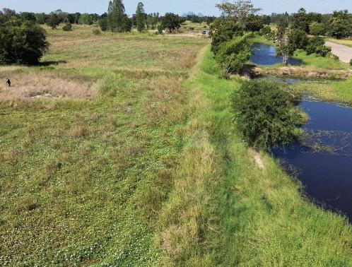 ขายที่ดินเปล่า ทำเลดี ตำบลหนองกระโดน อำเภอเมืองนครสวรรค์ จังหวัดนครสวรรค์ 2