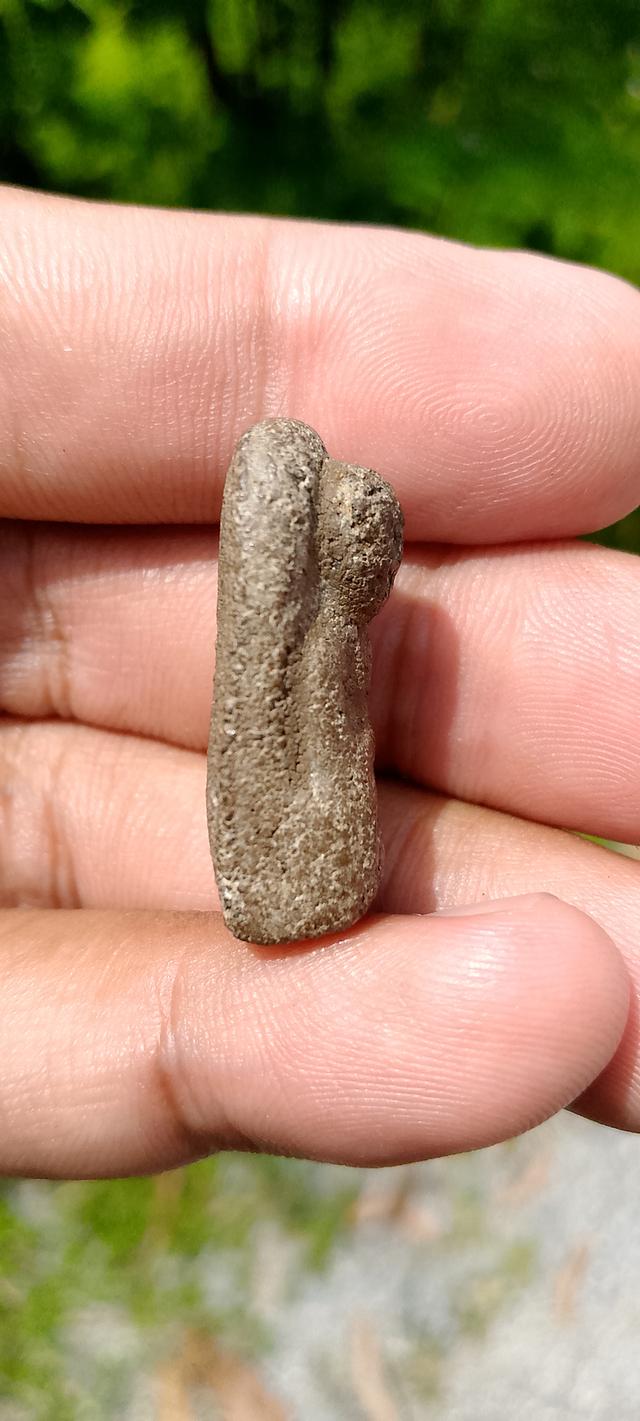 พระเนื้อว่านหลวงพ่อทวด