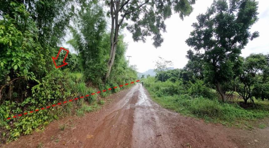 ประกาศขายที่ดินแปลงใหญ่ ติดถนนใหญ่ จันทบุรี – สระแก้ว (ทล.317) 7