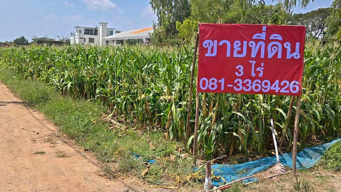 ขายที่ดินแปลงสวย ท่าม่วง กาญจนบุรี เหมาะลงทุน ใกล้ถนนใหญ่ เข้า-ออกได้หลายทาง เดินทางสะดวก เพียง 1 ชั่วโมงกว่าจากกรุงเทพฯ 2