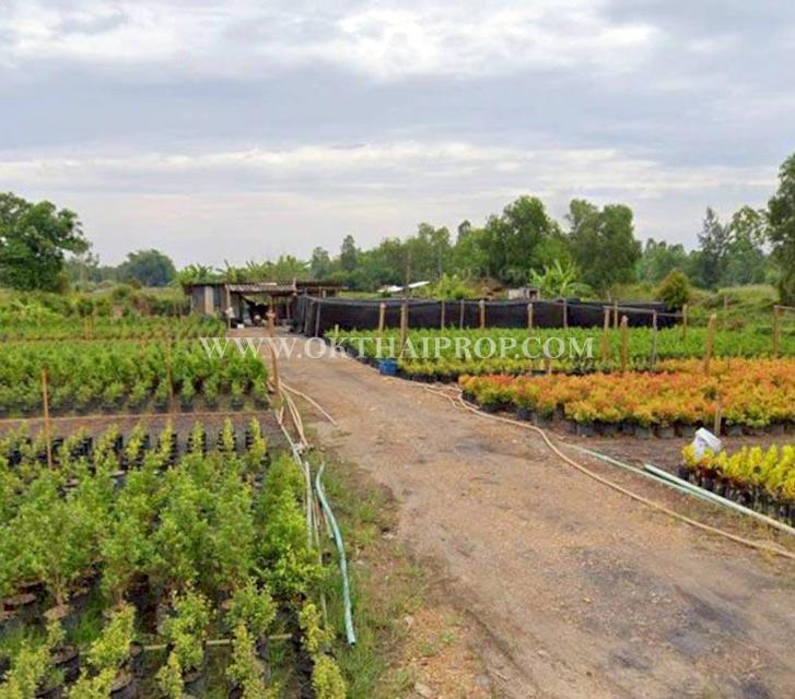 ที่ดิน คลอง14 ถนนรังสิต-นครนายก ใกล้ มศว. อ.องครักษ์ จ.นครนายก 5