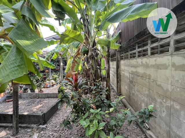 ขายที่ดิน ติดถนนหน้ากว้างถึง 8 เมตร รถยนต์เข้า-ออกสะดวก สามารถขับสวนกันได้สบาย ไม่แออัด 7