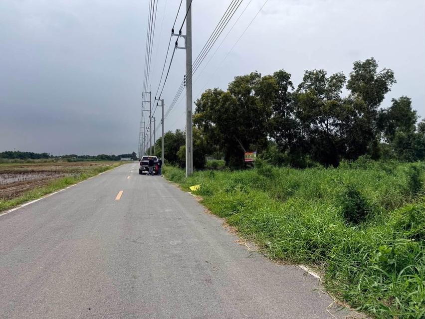 ขายด่วนที่ดิน 2 ไร่ ปากชอยมีเซเว่น ติดถนนลาดยาง ชอยคลองสี่ตะวันออก 54 คลองหลวง ปทุมธานี 4