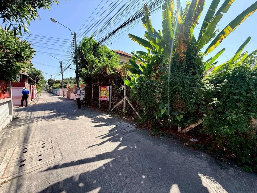 ขายถูกที่ดิน 100 ตรว  ซอยพหลโยธิน 54/1 แยก 6-10 สายไหม กทม.ถมแล้ว+ล้อมลวดหนาม 1