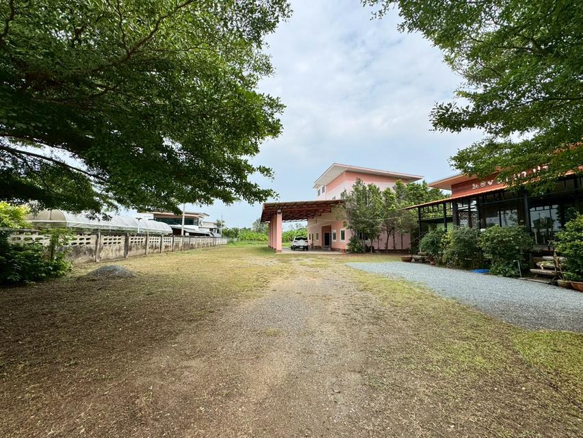ที่ดินพร้อมอาคารหลังใหญ่ และร้านกาแฟ 16