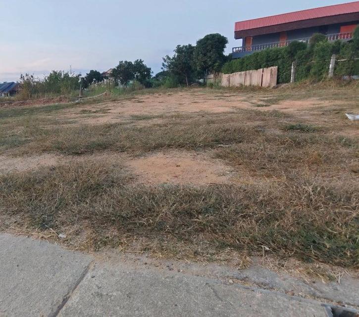 ขายที่ดินพัทยา ห้วยใหญ่ 121 ตรว.ถมแล้วเทศบาล1ซอย12 ใกล้หาดบ้านอำเภอ7กม. อ.บางละมุง ชลบุรี 4