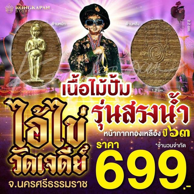 เหรียญไอ้ไข่เด็กวัดเจดีย์ เนื้อไม้ปั้ม หน้ากากทองเหลืองรุ่นสรงน้ำ จ.นครศรีธรรมราช ปี 63