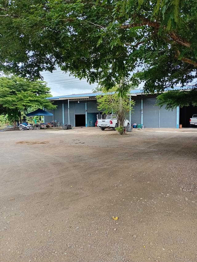 ตึกแถวชั้นเดียว ในอำเภอทองผาภูมิ 3