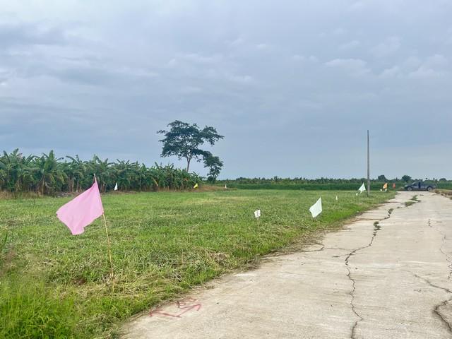 ขาย ที่ดินเปล่า คลอง 11 ตะวันออก ต. หนองสามวัง อ. หนองเสือ จ.ปทุมธานี เนื้อที่ 200 ตรว. ใกล้ถนนสี่เลน วิวรีสอร์ท 3