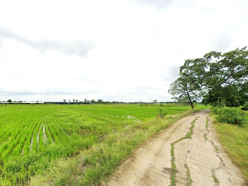 ขาย ที่ดิน เมืองลพบุรี ชุมชนบ้านนิคมหมู่ 8 สามัคคี 17 ไร่ วิวภูเขา บรรยากาศดี เหมาะทำจัดสรร 5