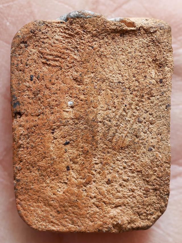 พระหลวงพ่อปาน วัดบางนมโค พิมพ์ขี่นก....เก่า เดิมๆ รูปที่ 8