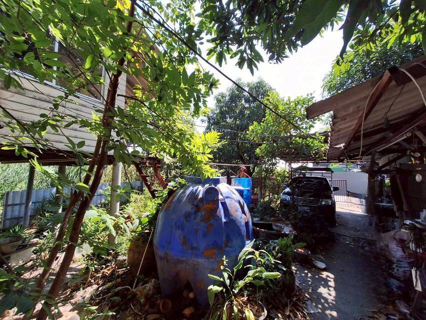 ที่ดินพร้อมสิ่งปลูกสร้าง ซอยไสวประชาราษฎร์ 33 (ร่วมสุข8) ลำลูกกาคลอง 4 ถนนลำลูกกา ต.ลาดสวาย อ.ลำลูกกา จ.ปทุมธานี 9