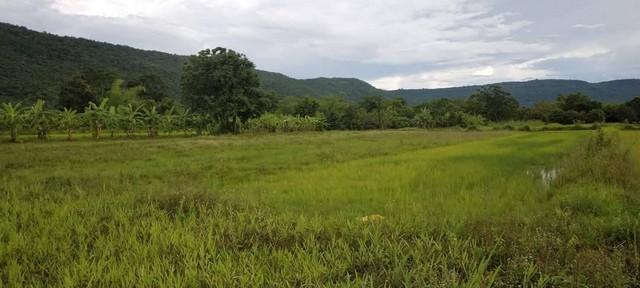 รวมบ้านที่ดินดีงามเพื่อคุณ ขายที่ดินสวยติดภูเขา เทือกเขายาวเรียงแนว ดินดีสมบูรณ์ทรัพย์ในดิน ฟ้าใสวิวหลักล้าน ต.นาจาน อ.ส 3