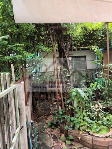 ขายที่ดินแปลงมุม 74 ตารางวาพร้อมสิ่งปลูกสร้างย่านเสรีไทย81 สวนสยามทาวน์เฮ้าส์ชั้นเดียว 2 หลัง มี 2 โฉนดแบ่งขายได้ 42 ตร.ว. และ 32 ตร.ว. 6