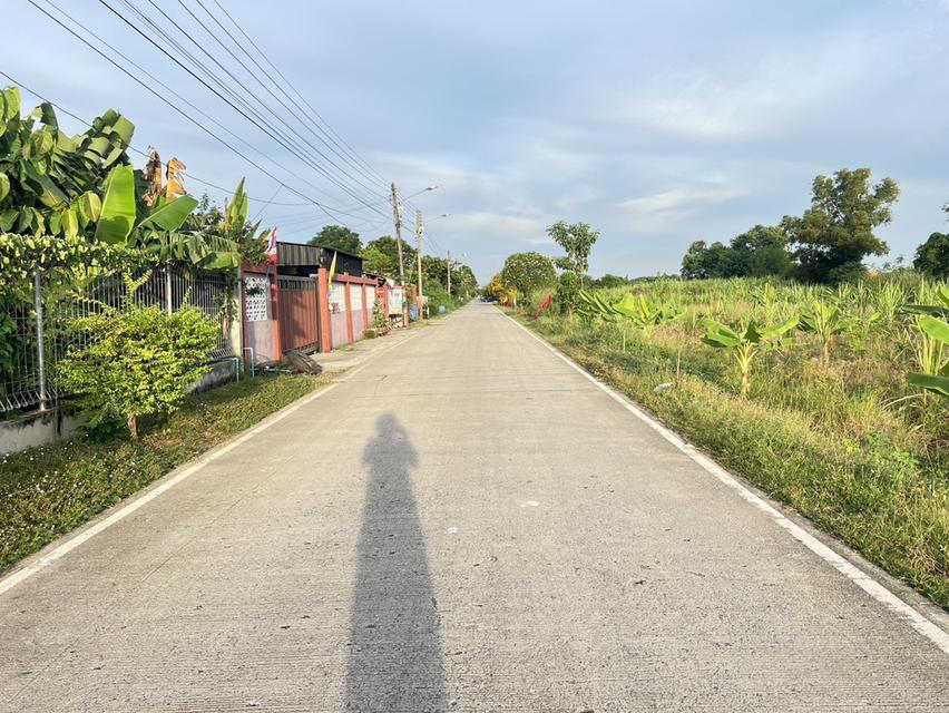 ขายที่ดินเปิดแปลงใหม่ คลองสาม  คลองหลวง ปทุมธานี 100 ตารางวาเพียง  8.5 แสนบาท 10