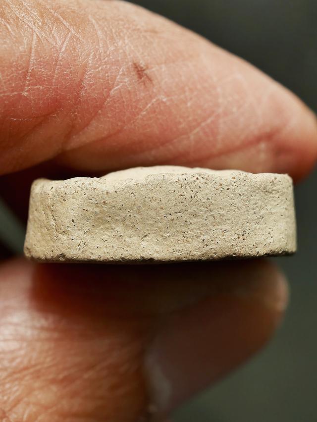 พระหลวงพ่อปาน วัดบางนมโค พิมพ์ขี่เม่นมังกร เก่า เดิมๆ 12